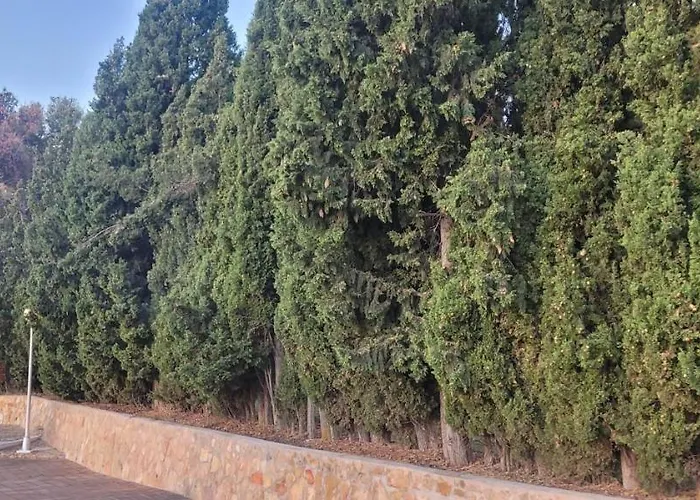 酒店 El Mirador De San Macario 3*