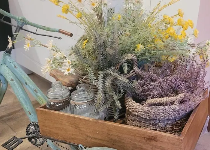 酒店 El Mirador De San Macario 3*